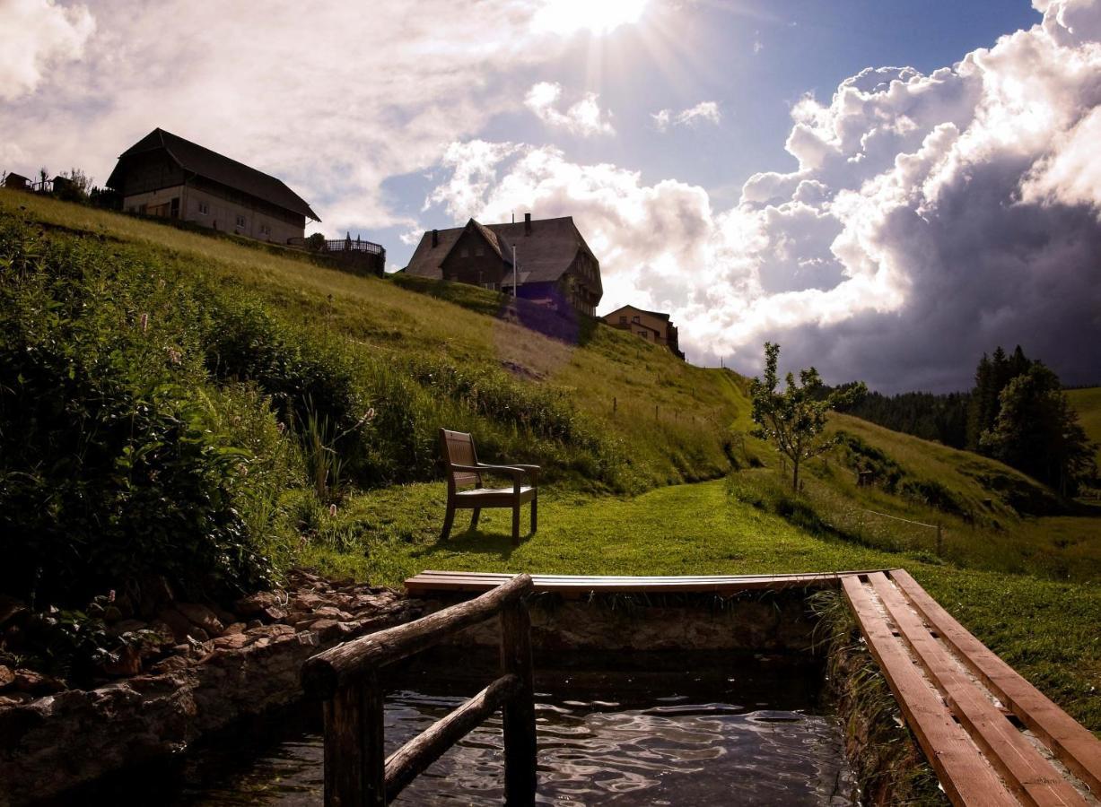 Thaelerhaeusle Hotel Furtwangen Kültér fotó