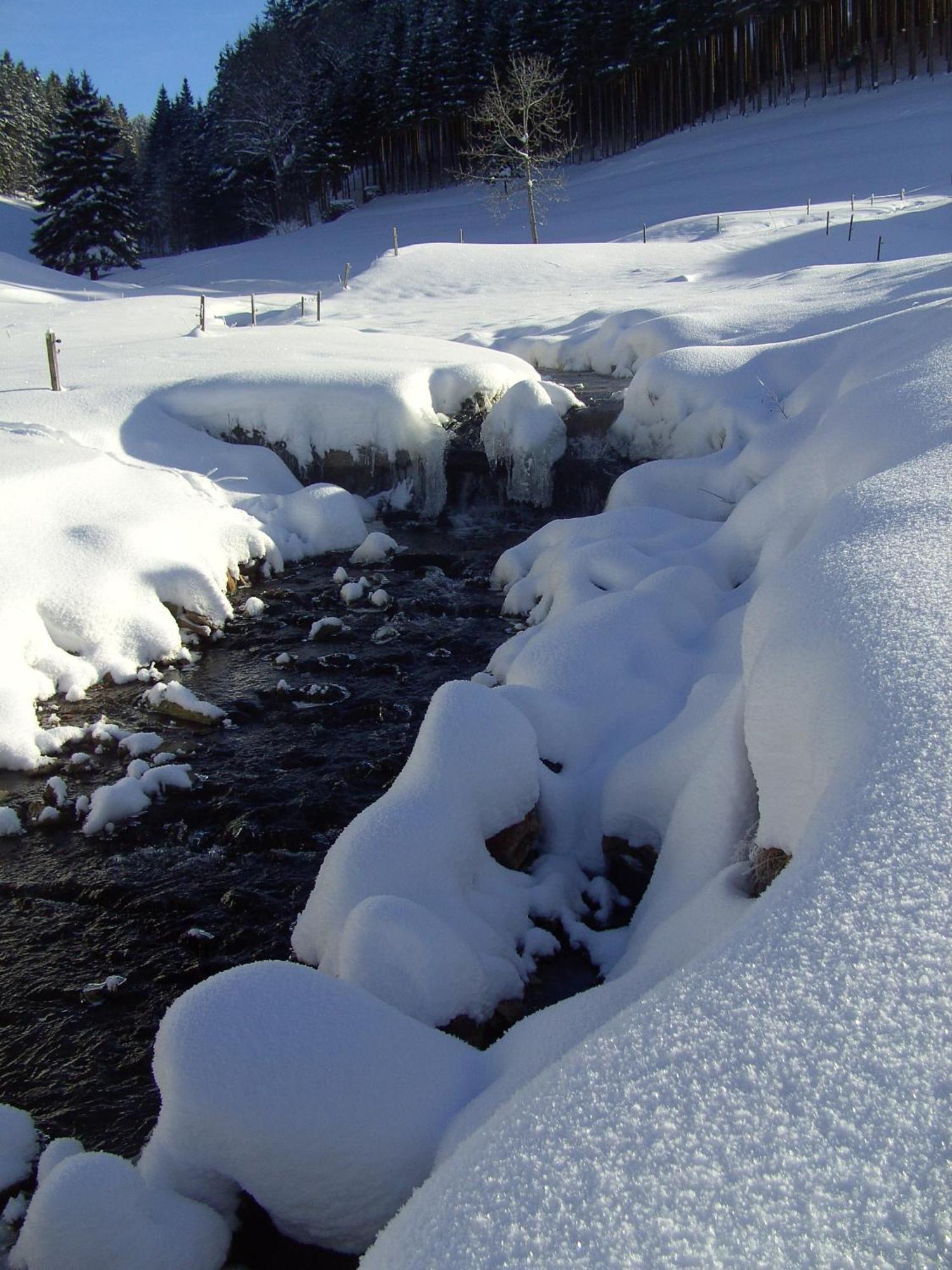 Thaelerhaeusle Hotel Furtwangen Kültér fotó