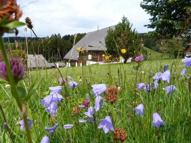 Thaelerhaeusle Hotel Furtwangen Kültér fotó